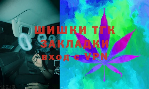 PSILOCYBIN Ельня
