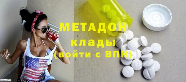 PSILOCYBIN Ельня