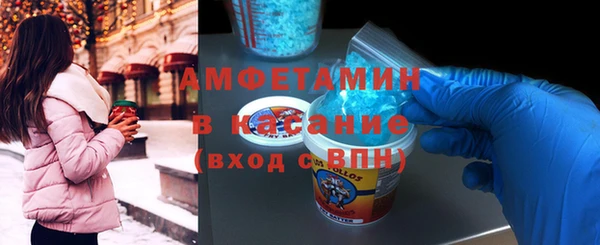PSILOCYBIN Ельня