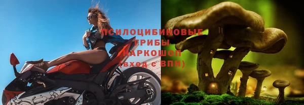 PSILOCYBIN Ельня