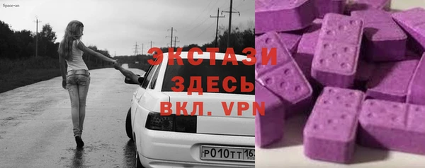PSILOCYBIN Ельня