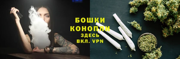 PSILOCYBIN Ельня