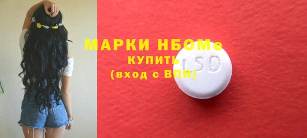 PSILOCYBIN Ельня