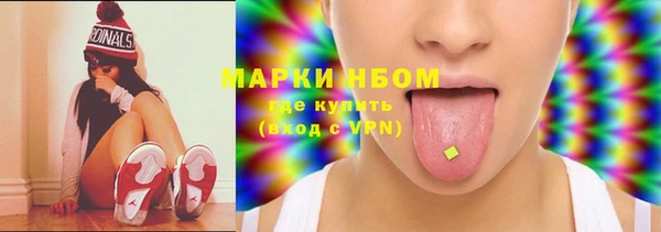 PSILOCYBIN Ельня