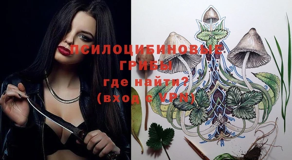 герыч Елабуга