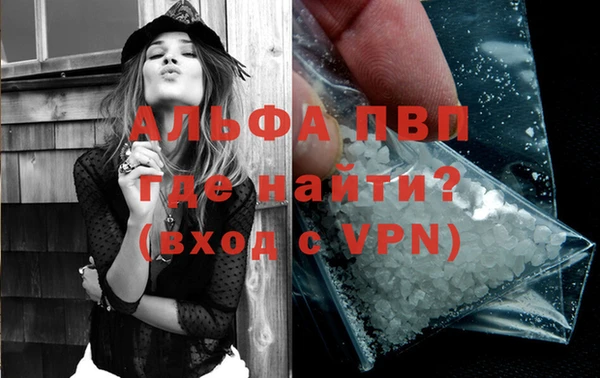 PSILOCYBIN Ельня