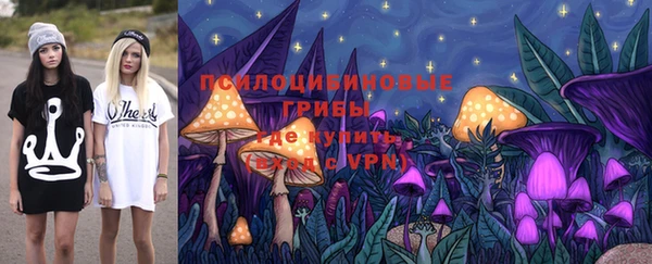 герыч Елабуга