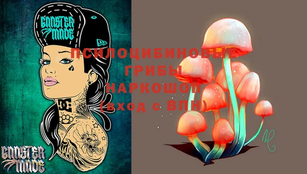 герыч Елабуга