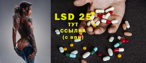 PSILOCYBIN Ельня