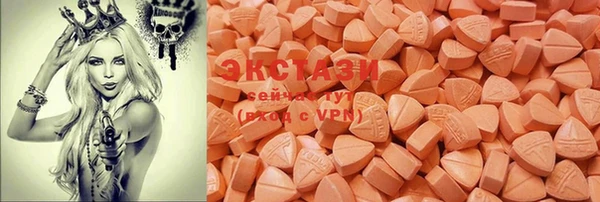 PSILOCYBIN Ельня