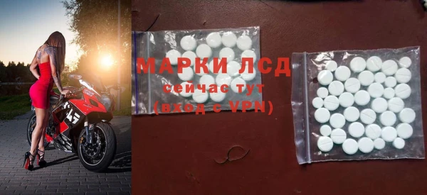 PSILOCYBIN Ельня