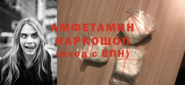 PSILOCYBIN Ельня