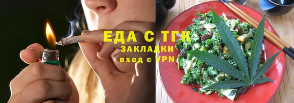 PSILOCYBIN Ельня